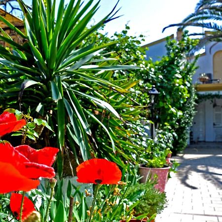 Villa Elena Studios Дассия Экстерьер фото
