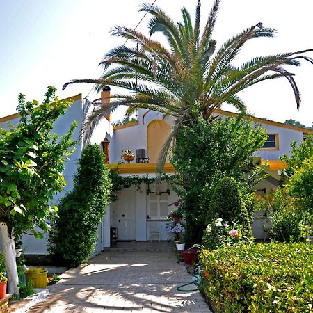 Villa Elena Studios Дассия Экстерьер фото