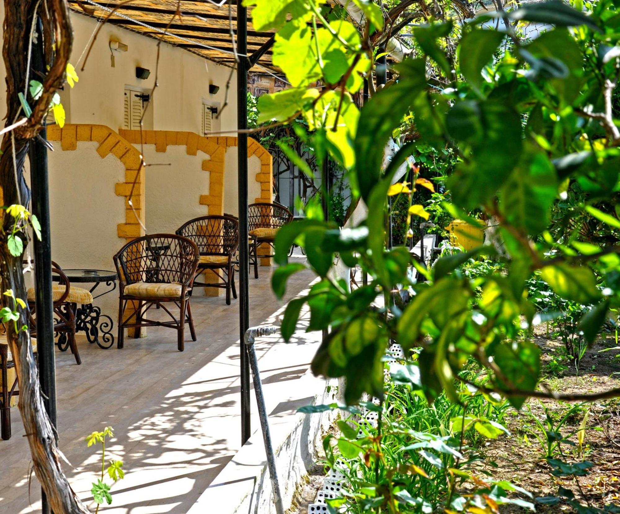 Villa Elena Studios Дассия Экстерьер фото